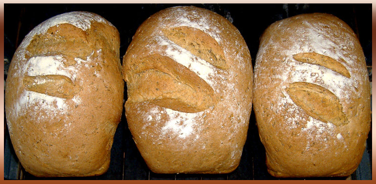 Three Loaves of Stoneground Whole Wheat