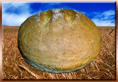Caraway Rye Loaf